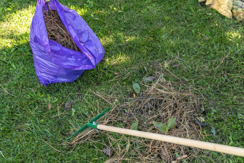 Clearing in Dry Seasons