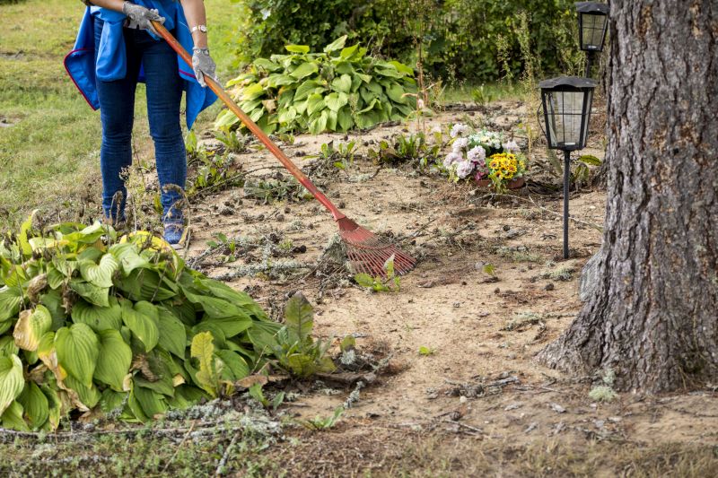 Healthy Land Post-Clearing