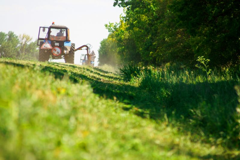 Bush Hog Mowing in Prince Georges County, MD