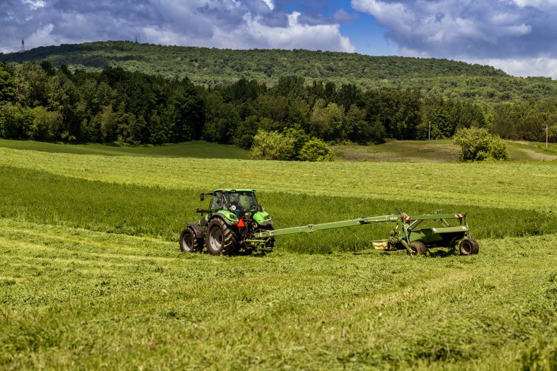 Vegetation Being Cut