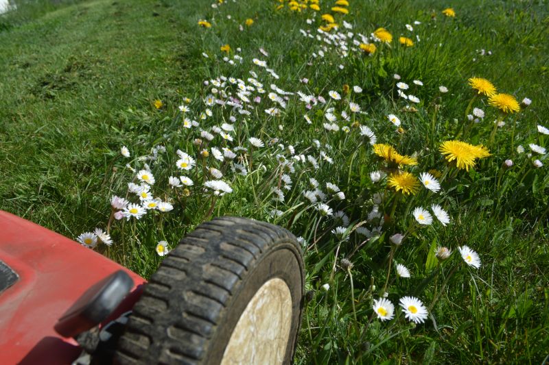Pasture Mowing in Prince Georges County, MD